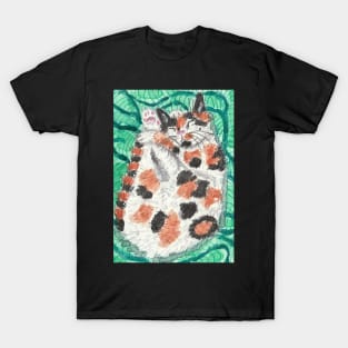 Sleeping  calcio  cat T-Shirt